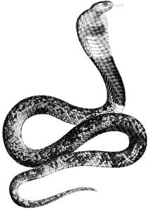 Serpent